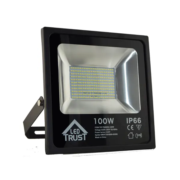 Trust LED Flood light 100W 