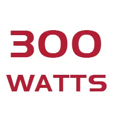 300 Watt